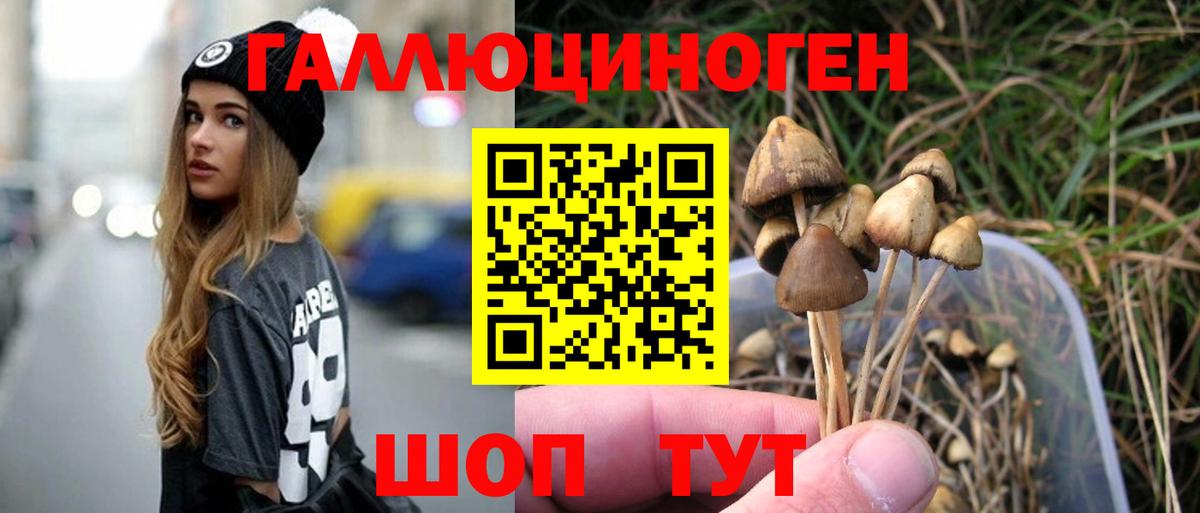 Галлюциногенные грибы прущие грибы Кызыл
