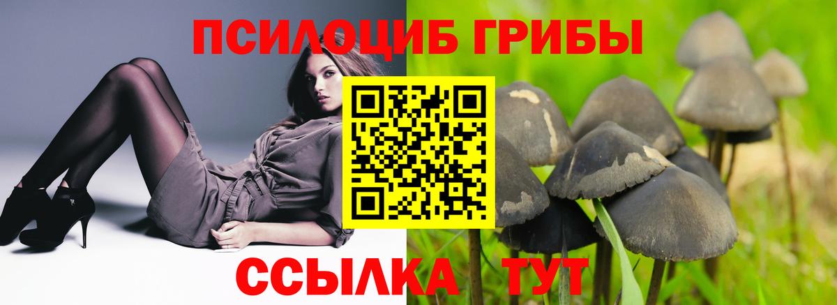 Галлюциногенные грибы ЛСД  Вход с VPN  Кызыл 